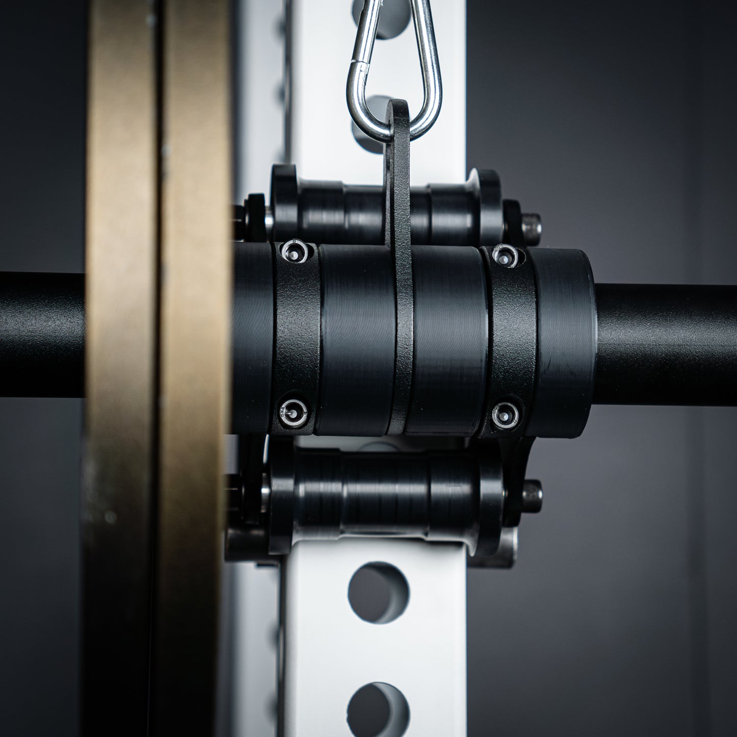 Bully Glyder Weight Horn