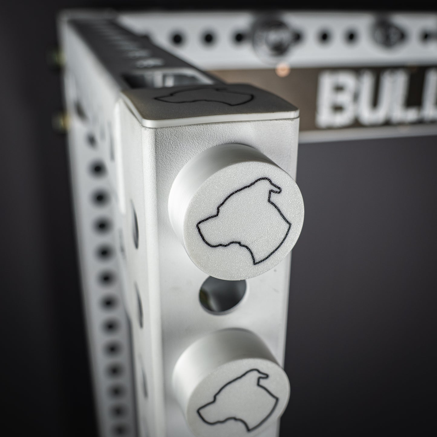 Bolt Caps