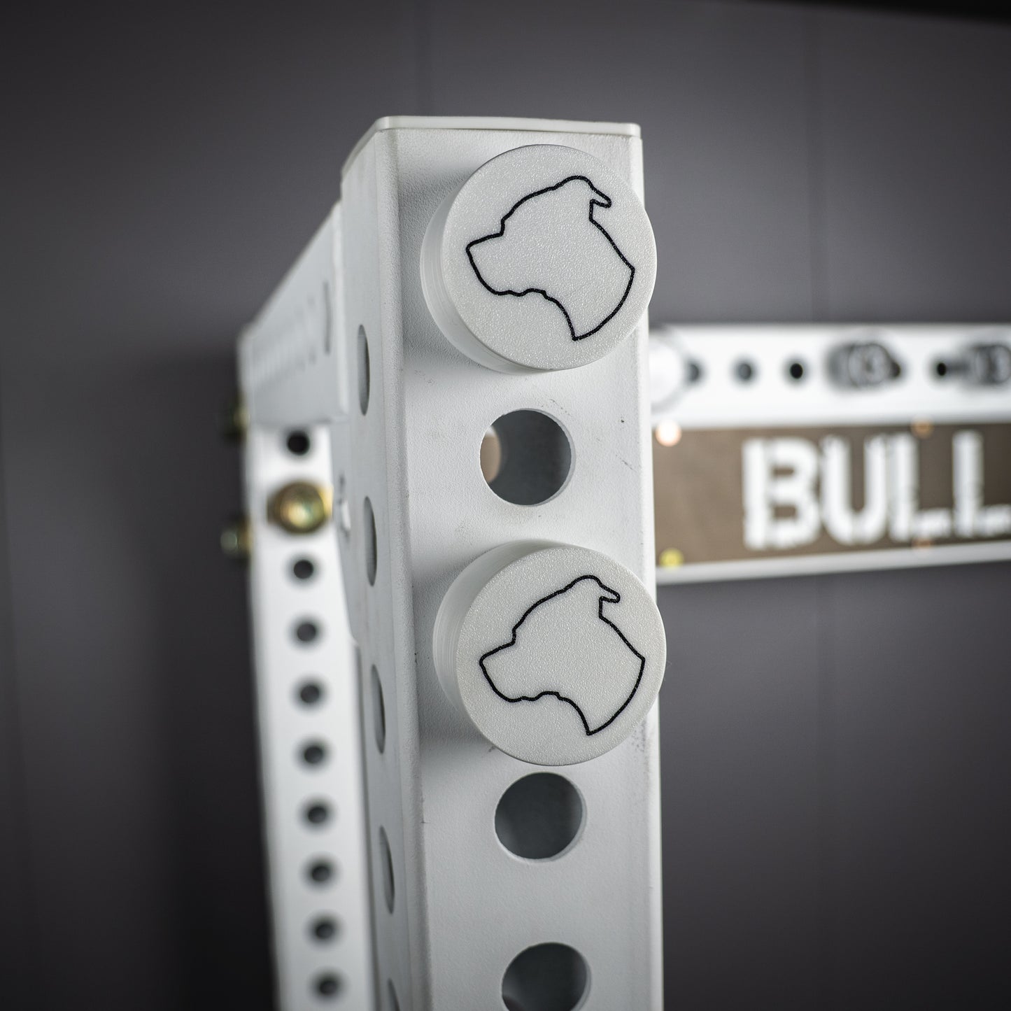 Bolt Caps