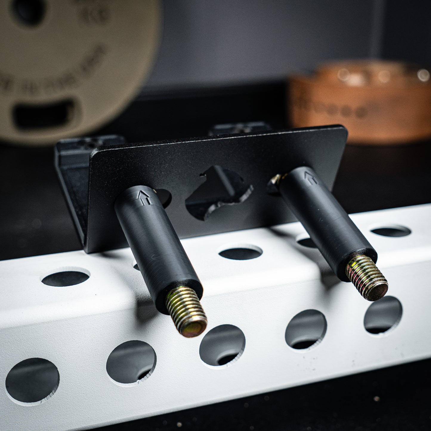 Specialty Barbell Hanger