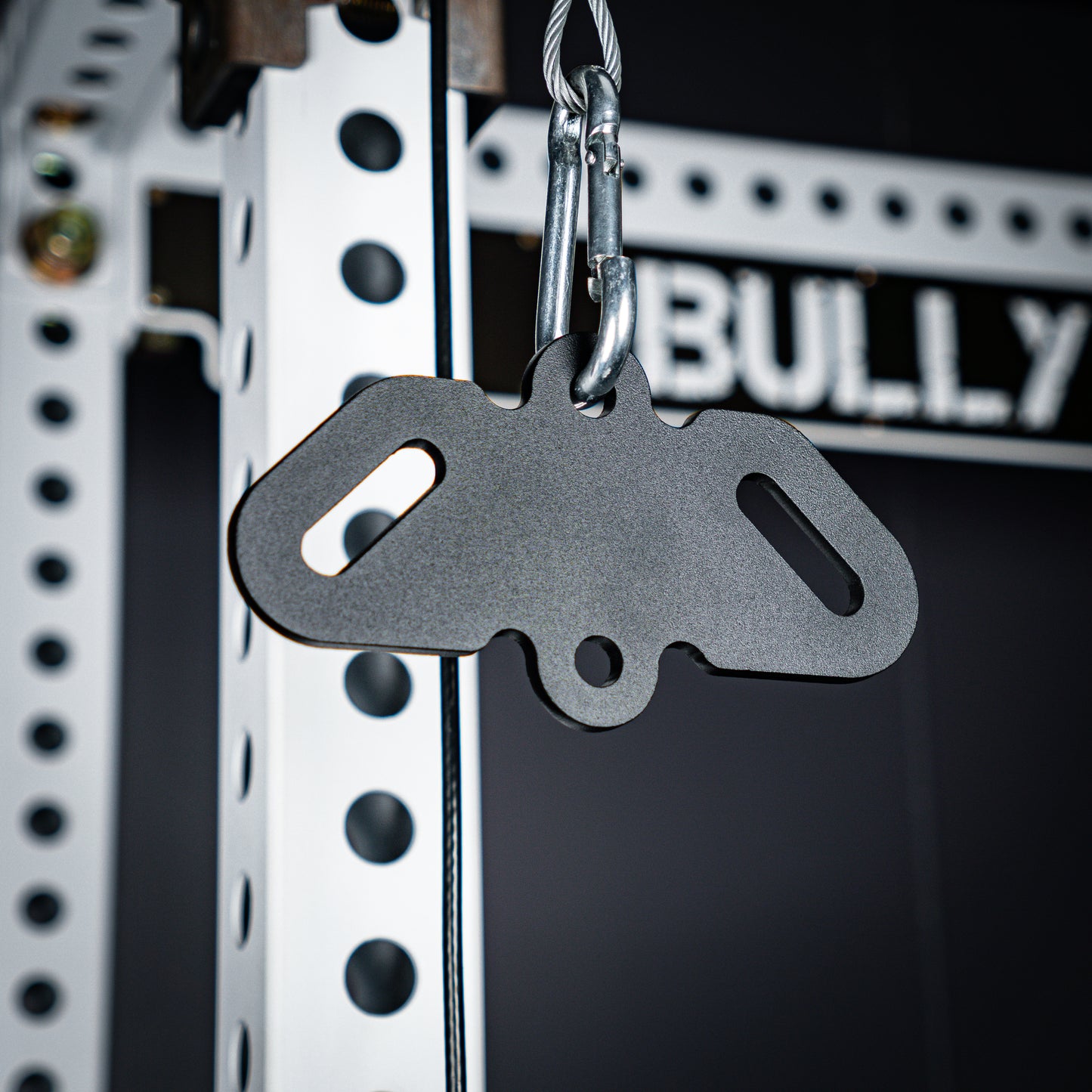 Bully Hitch