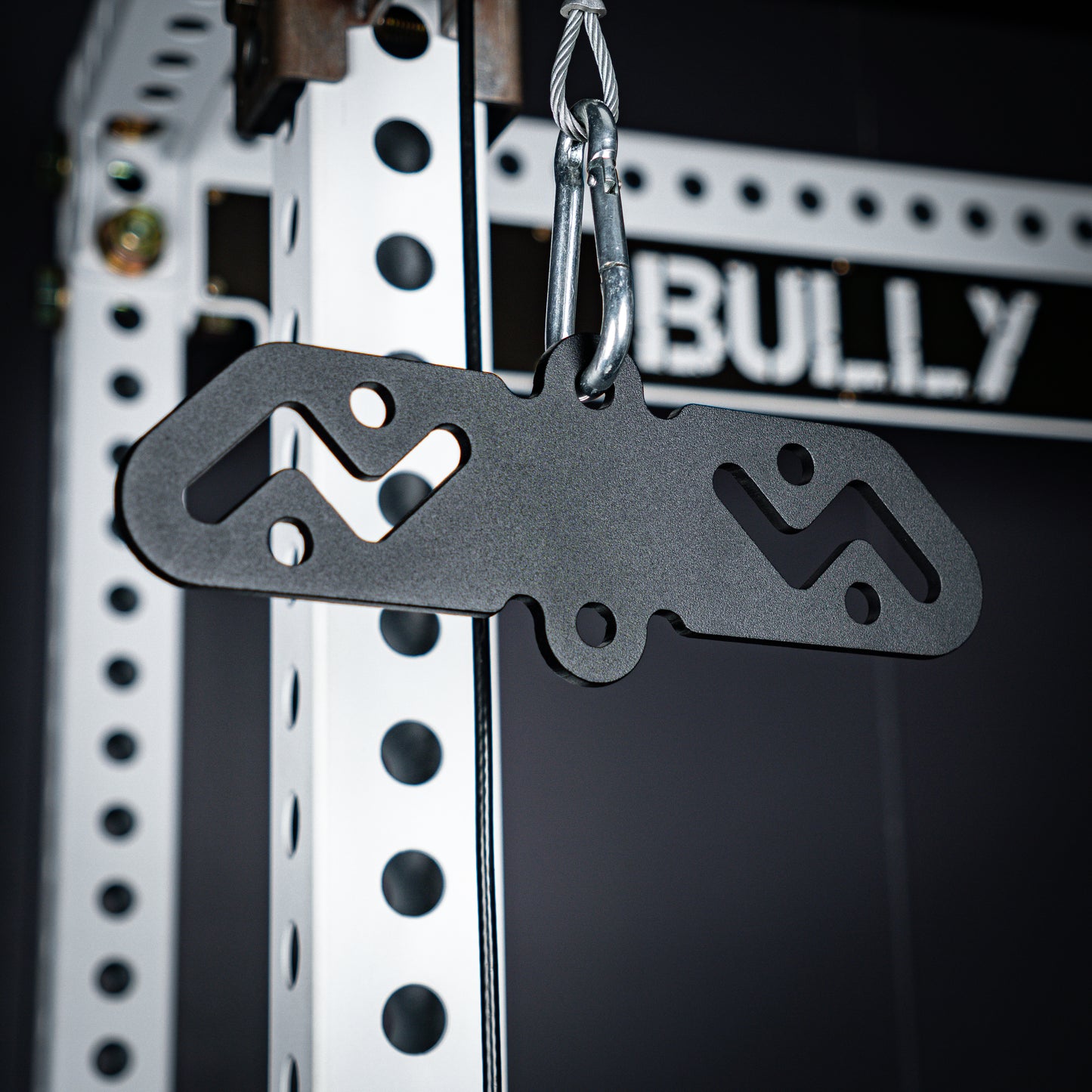 Bully Hitch