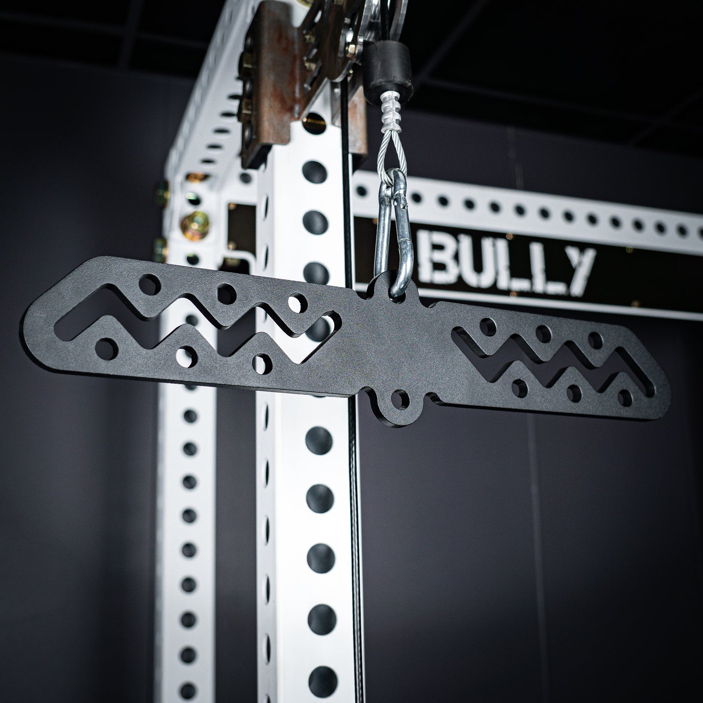 Bully Hitch